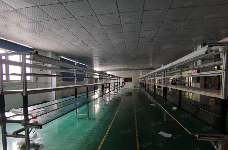 原房东！大朗独院5000平实际面积低价厂房仓库出租