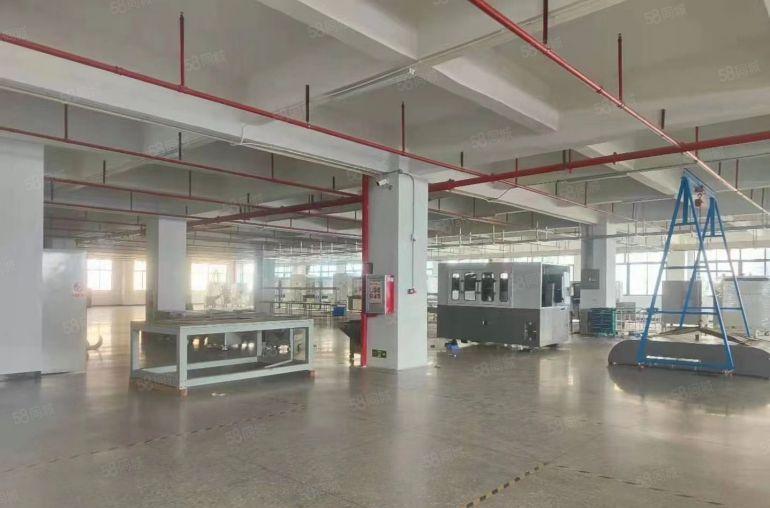 松木山原房东高新厂房出租，带全新现成办公室，适合电子电商贸易