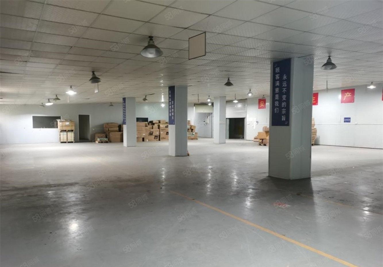 大朗一楼1000平方仓库厂房出租，工业用地适合多种行业易招工