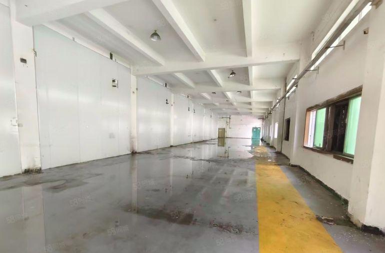 大朗大井头新出7000平米独院标准厂房出租15元平米