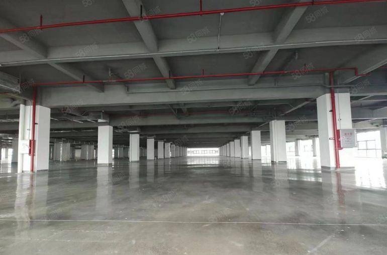 大朗原房东带红本分租丙类消防单层9000平方2千起分食品环评