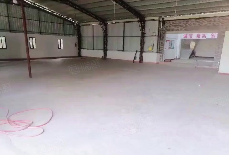 大朗原房东仓库钢构厂房出租单一层950平方，送小阁楼办公室