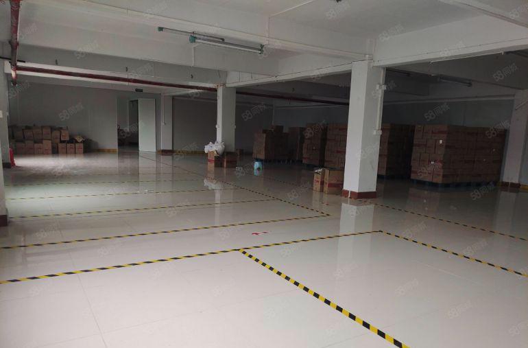 大朗松山湖旁高端办公室 带装修 园区停车免费 带货梯客梯