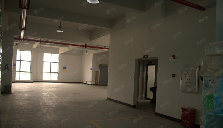 东莞 大朗 原房东 500平 全新厂房出租