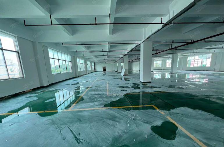 厂房出租，大朗标准三层独院10000平方，空地超大，面积实量