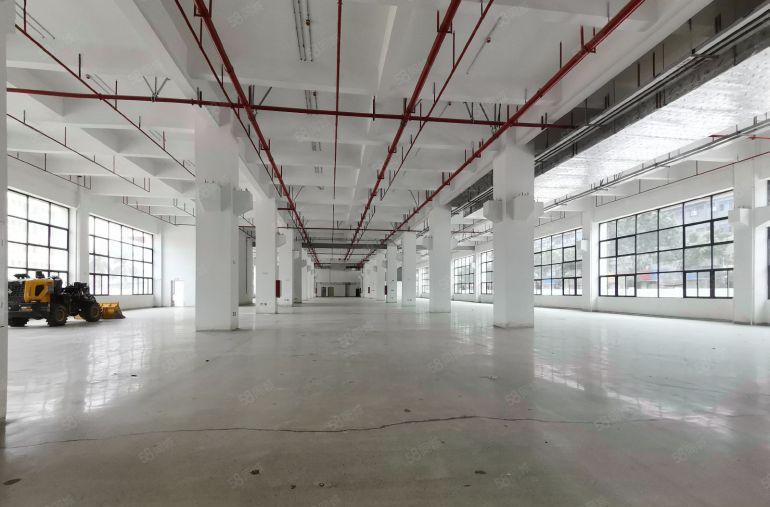 大朗镇高速路口附近原房东全新厂房40000平独院大小可分租