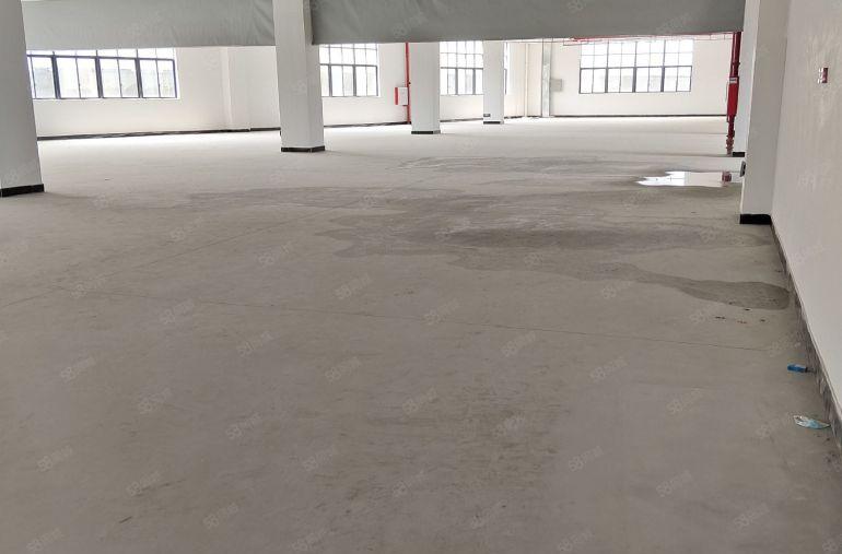 大朗全新独院厂房出租1楼7米高带牛角每层2800平方可分租