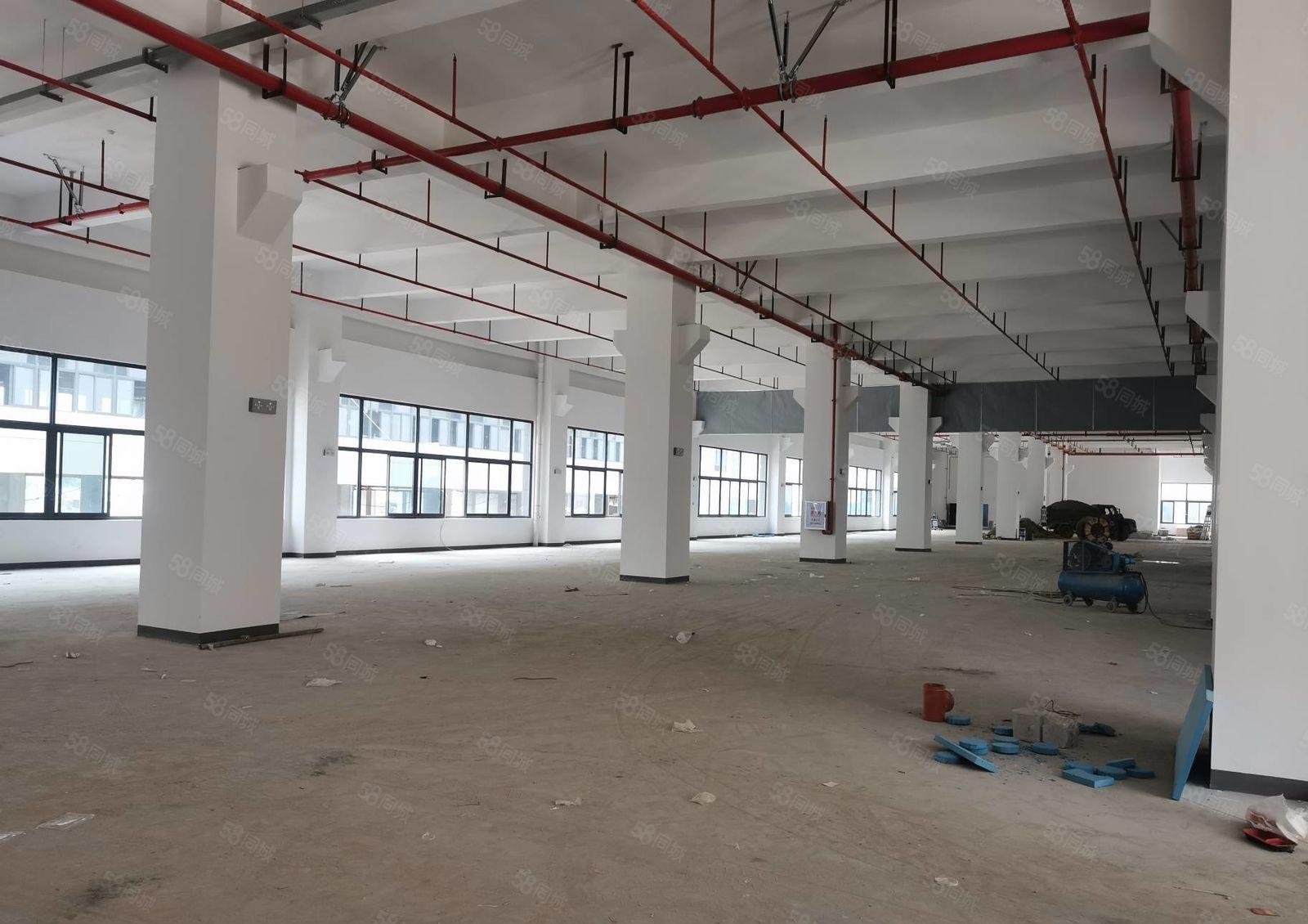 大朗洋乌村全新重工业厂房出租楼上层高6米承重2吨面积可分