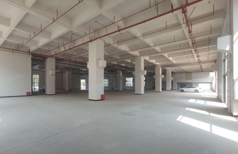 大朗镇石厦全新红本厂房出租，总面积8万平方大小可分租。