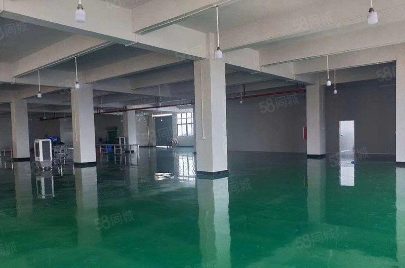 需要环评的看过来 大朗洋乌工业区二楼800平方厂房招租