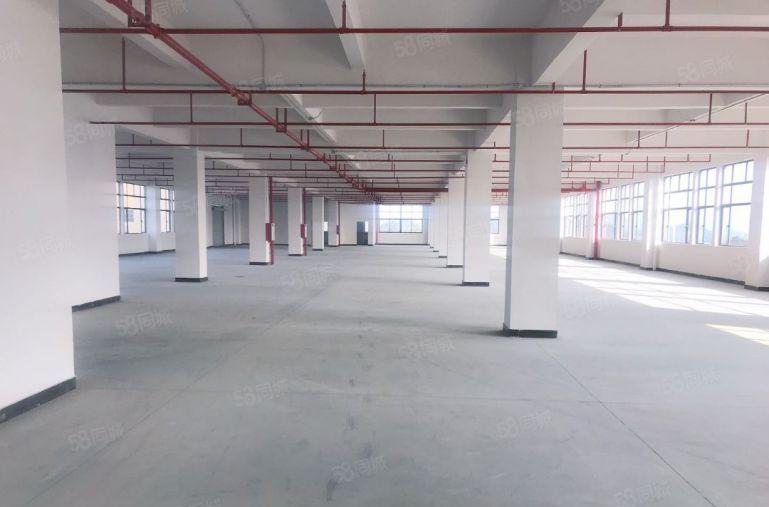 大朗富民工业城重工业厂房出租可以做新能源电池组装光学光电生产