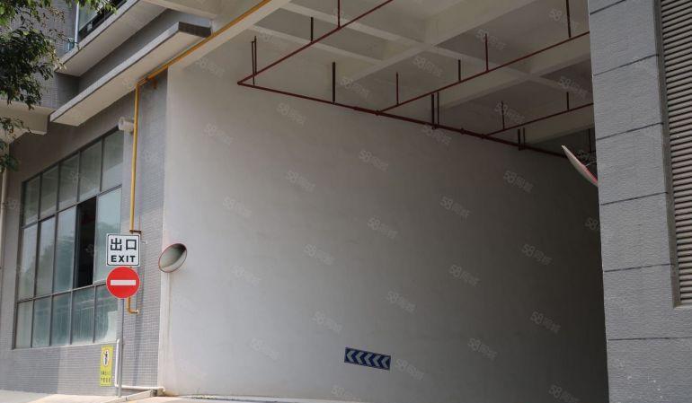 东莞 大朗 原房东 500~7000平 全新厂房出租