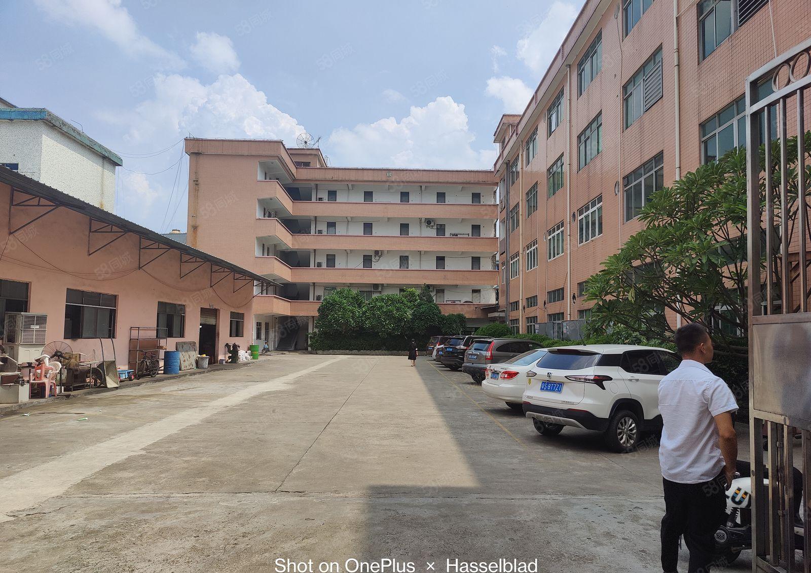 15起低价靓盘大朗临深高速入口1万平经典独院厂房出租大小可分