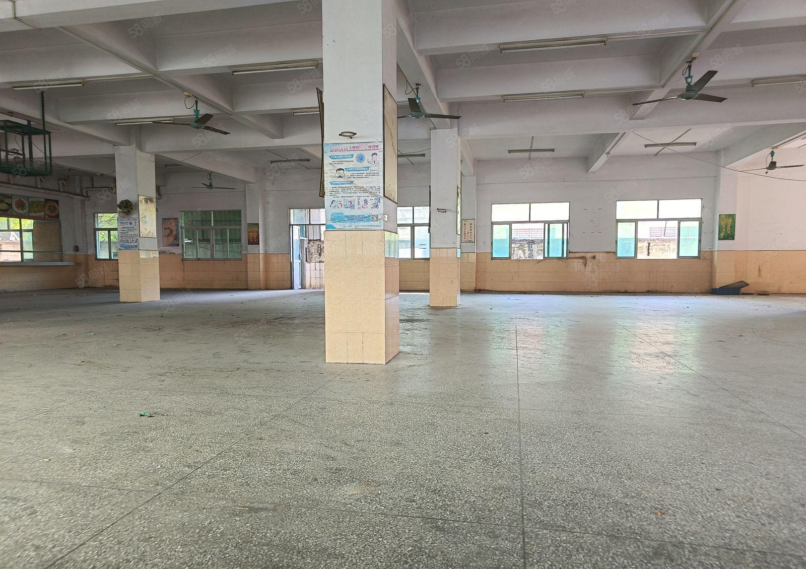 原房东独院厂房独栋厂房重工业厂房花园厂房出租红本厂房