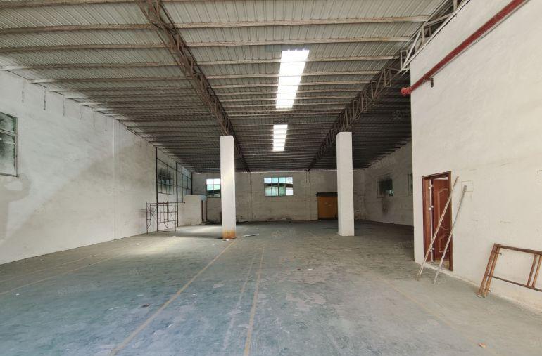 大朗富民工业城新空出精装一楼620平，滴水6米，水电齐全