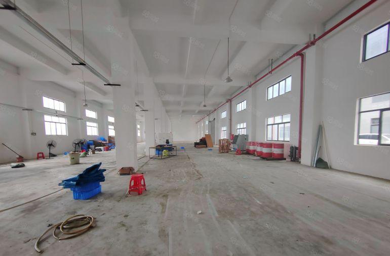 大朗镇石厦标准厂房一楼1300平方米，交通方便，高度7米