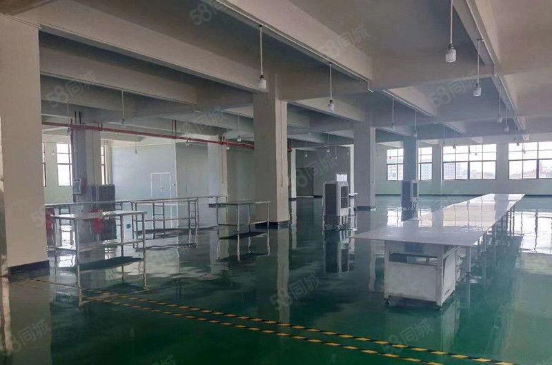 需要环评的看过来 大朗洋乌工业区二楼800平方厂房招租