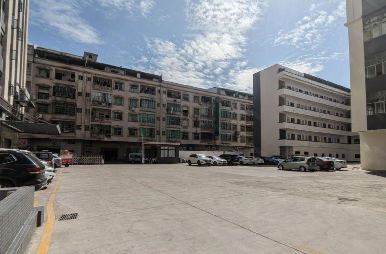 大朗原房东1000平精装修厂房出租，适合抖音电商贸易，展厅等