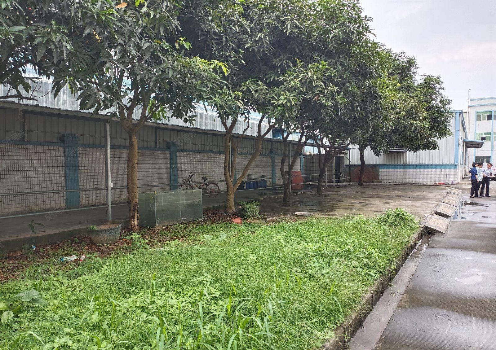 东莞周边原房东个人厂房直租一楼层高独门独户