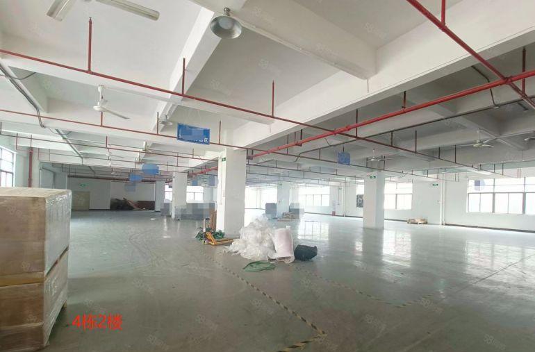 大朗原房东厂房现成办公室装修出租，实量无公摊，位置优越