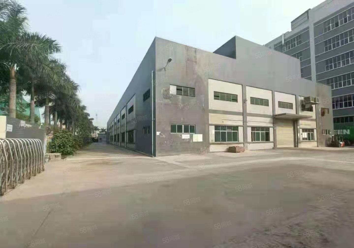 大朗洋乌原房东滴水7米无公摊1100平钢结构厂房出租，