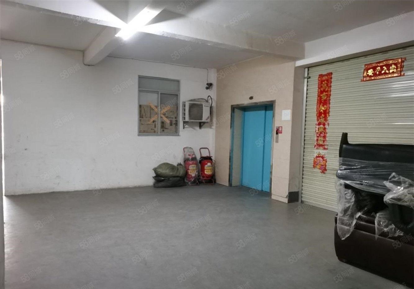 大朗一楼1000平方仓库厂房出租，工业用地适合多种行业易招工