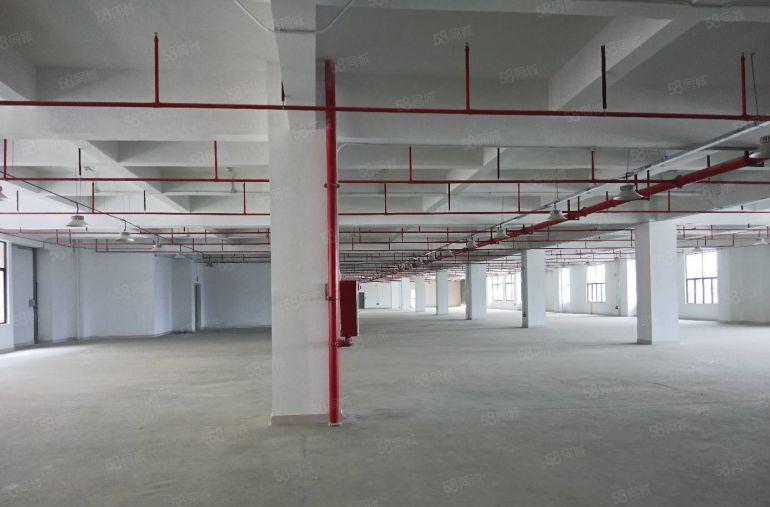 大朗象山工业城独院厂房出租10000平米交通便利可分租好招工