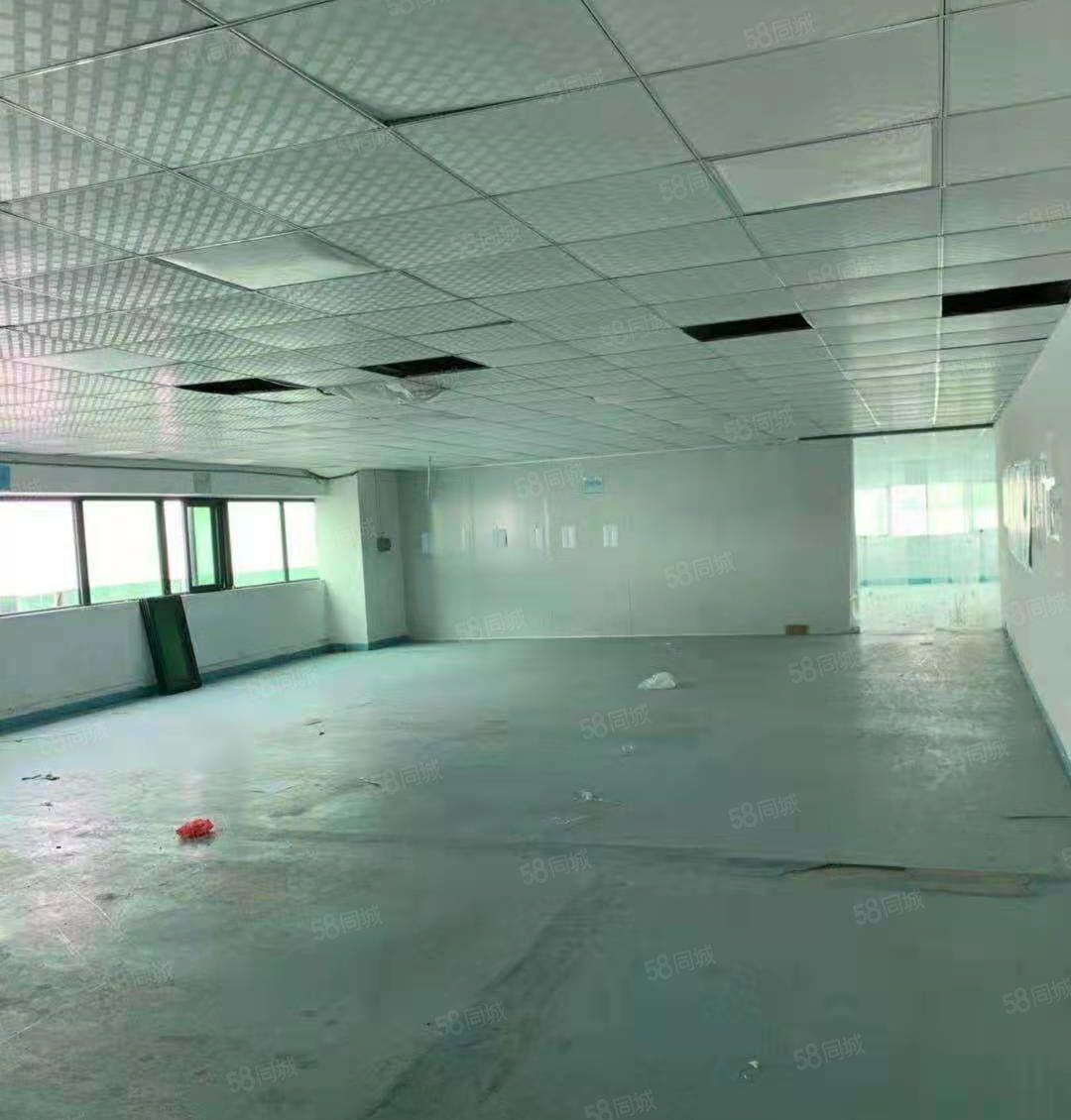 抢租低价12元！大朗工业园800平厂房带装修 3吨货梯