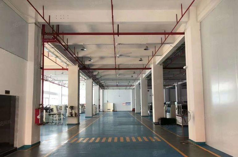 大朗富民工业园新出一楼2500平 现成装修无需转让费可办环