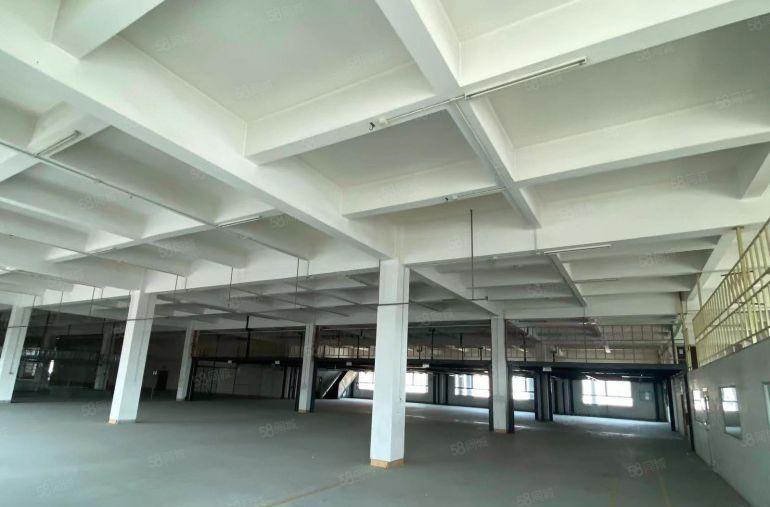 大朗水口原房东4400平厂房带卸货平台货梯适合电商仓库可分租