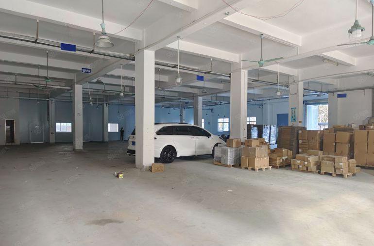 实际面积特价12元！大朗新出一楼标准1000平厂房出租