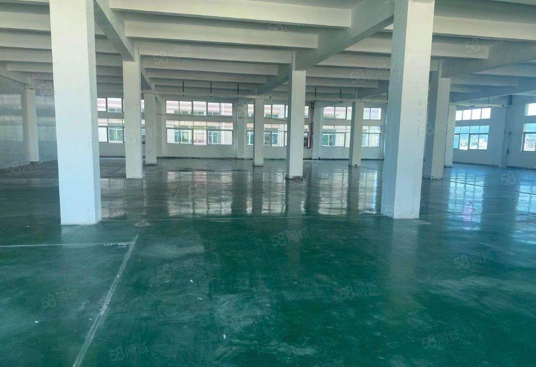 已翻新 大朗洋坑塘二楼780平方厂房 租金9元无公摊