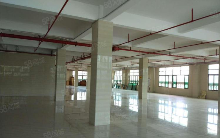 大朗大井头独栋厂房分租 每层300平方 租金3000元