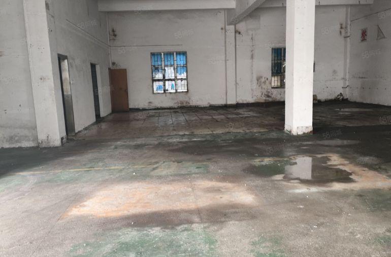 大朗主干道旁原房东园区高5.5米，标准一楼400平适合各行业