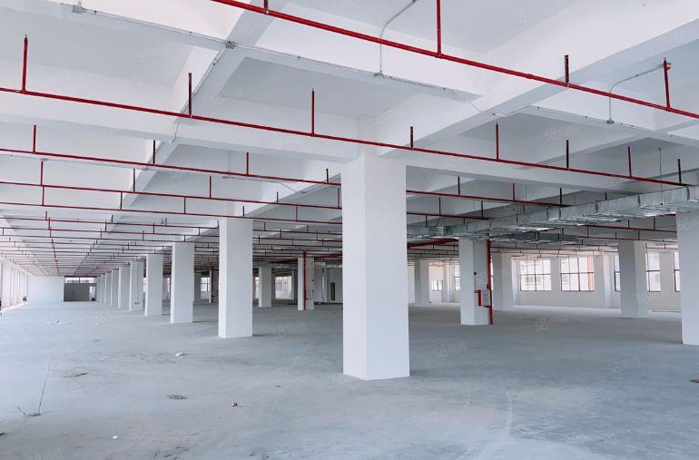 松山湖片区全新110米厂房原房东厂房出租独院