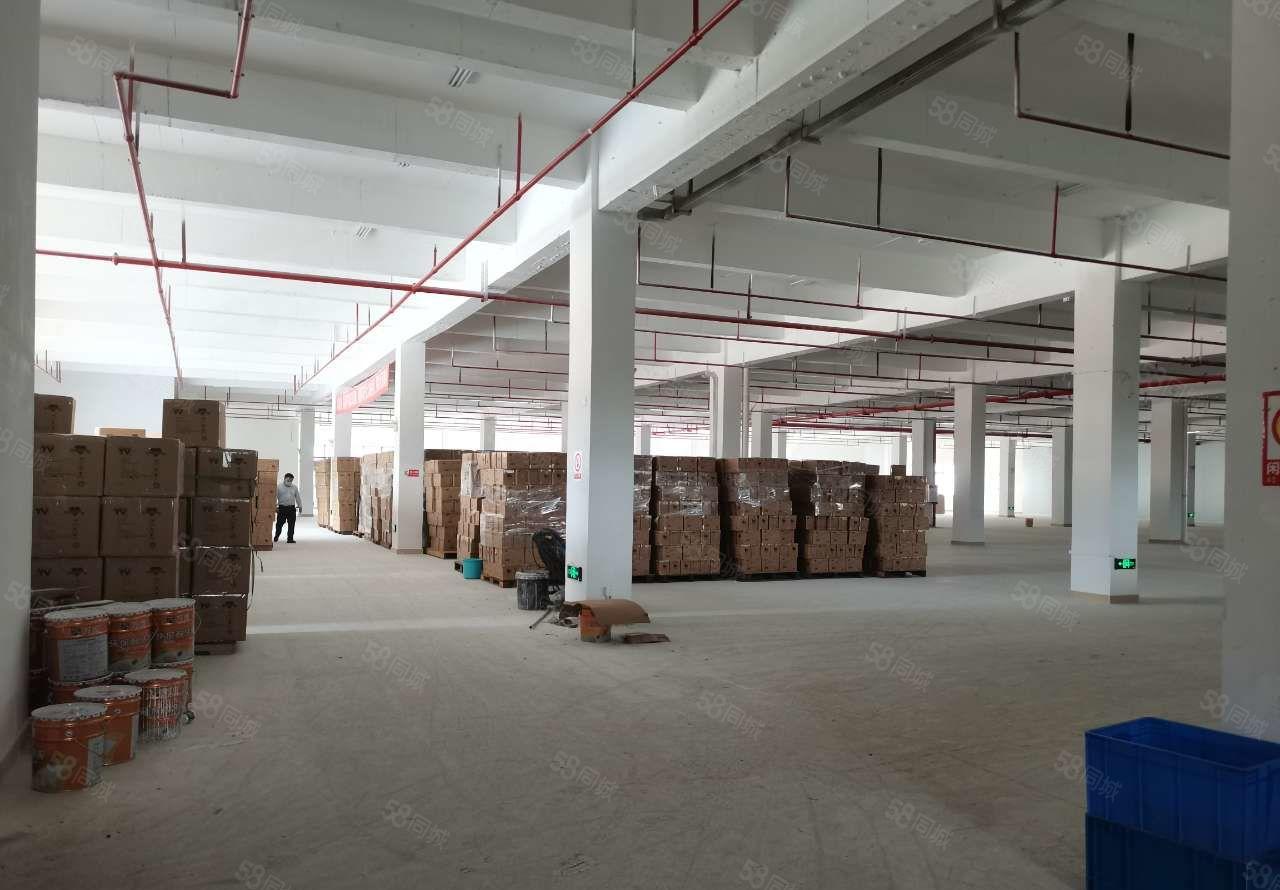 东莞松山湖新空出高端园区厂房，一楼3000，2楼3000，