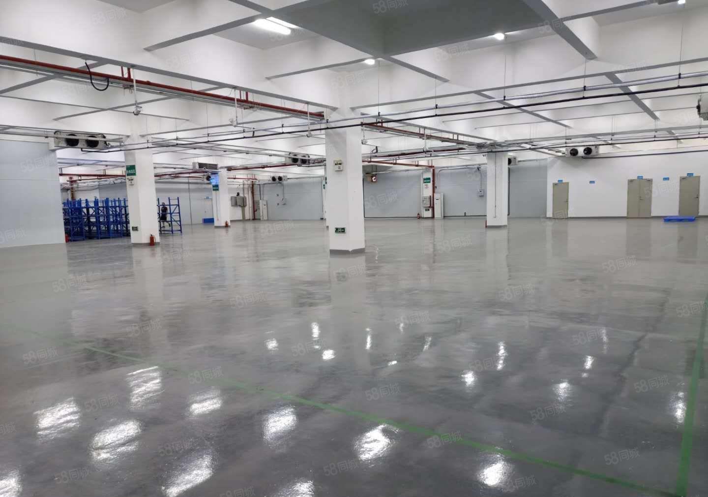 松山湖低价厂房出租，也有仓库出租，土地出租，大小面积可分租