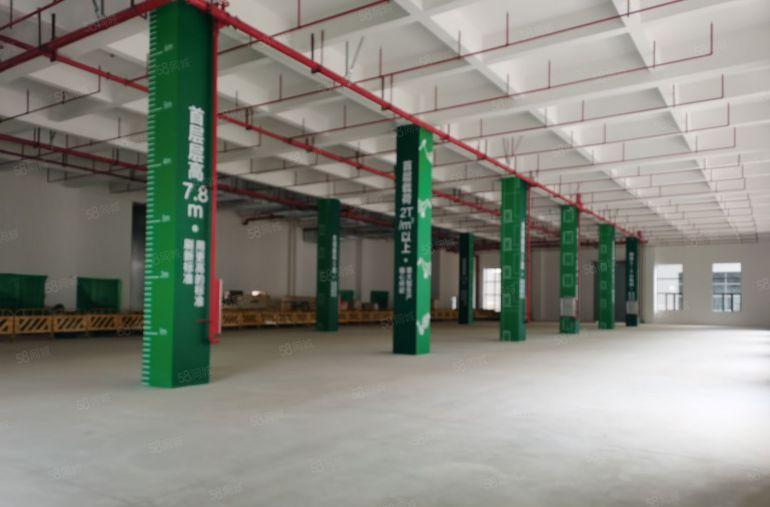 出租 松山湖厂房出租 M1厂房出租 半导体芯片厂房出租