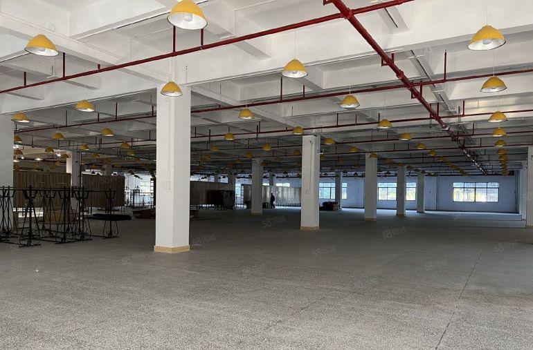 东莞松山湖邻大朗国有红本双证独院厂房招租，精装修水电全拎包入