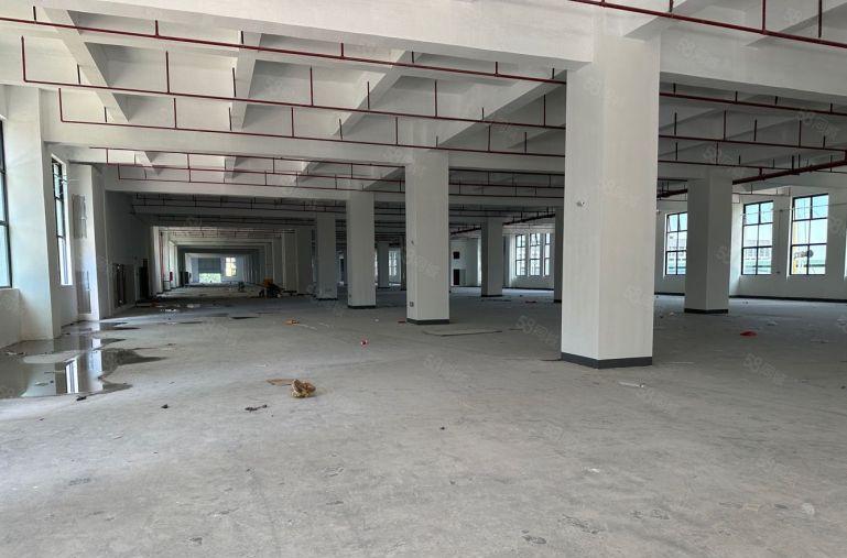 原房东无公摊，真正松山湖工业厂房直租，配套齐全。