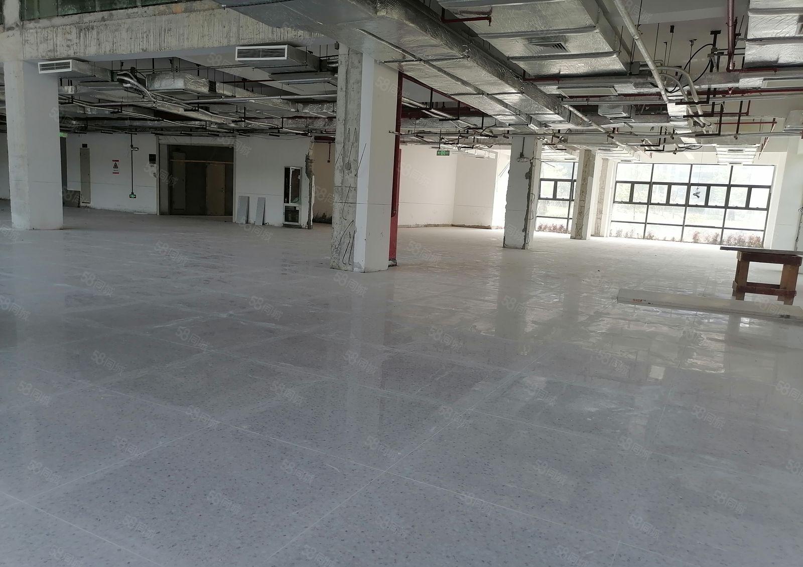 松山湖全新原房东红本综合楼招商，现成装修水电齐全，可申请补贴