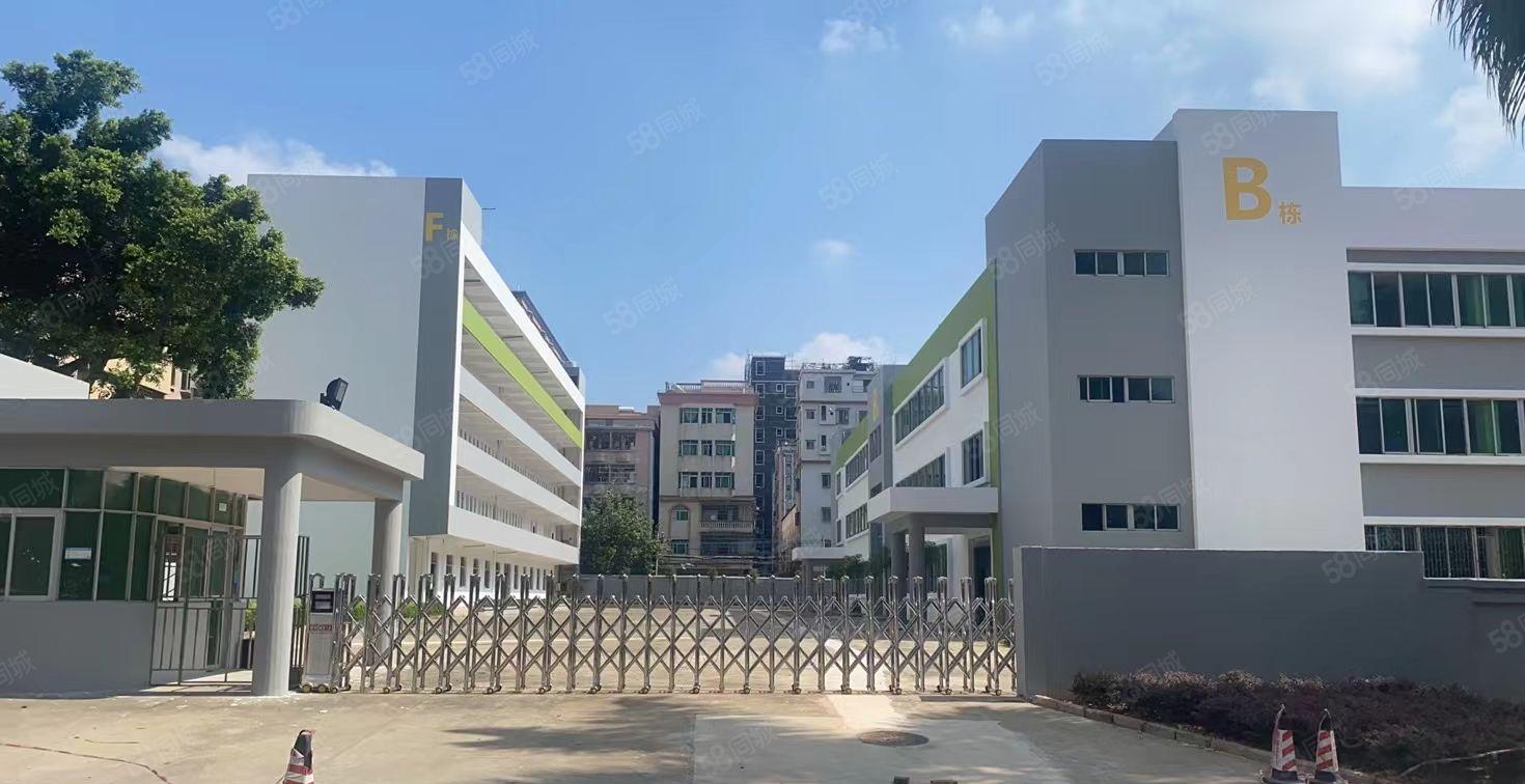 松山湖附近新出红本全新独院不限电