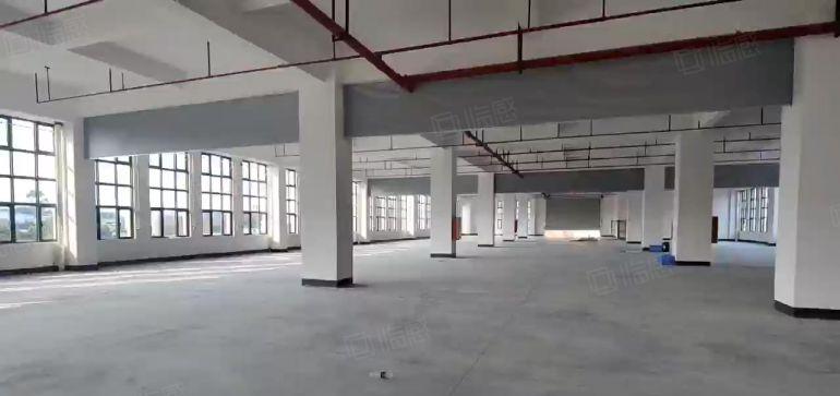 大岭山高速出口1000平全新红本厂房可办环评有喷淋好招工