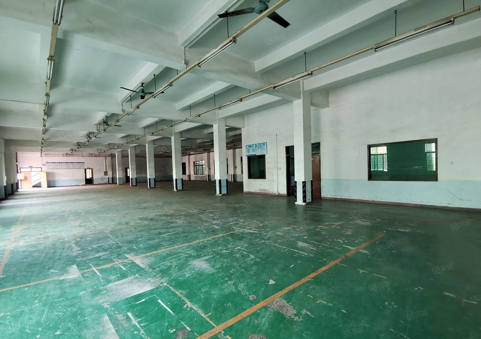 独院两层厂房宿舍5000平方米出租