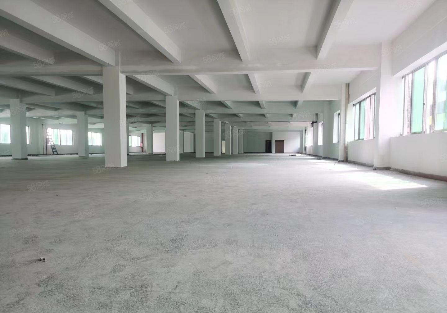 松山湖附近新出红本全新独院不限电