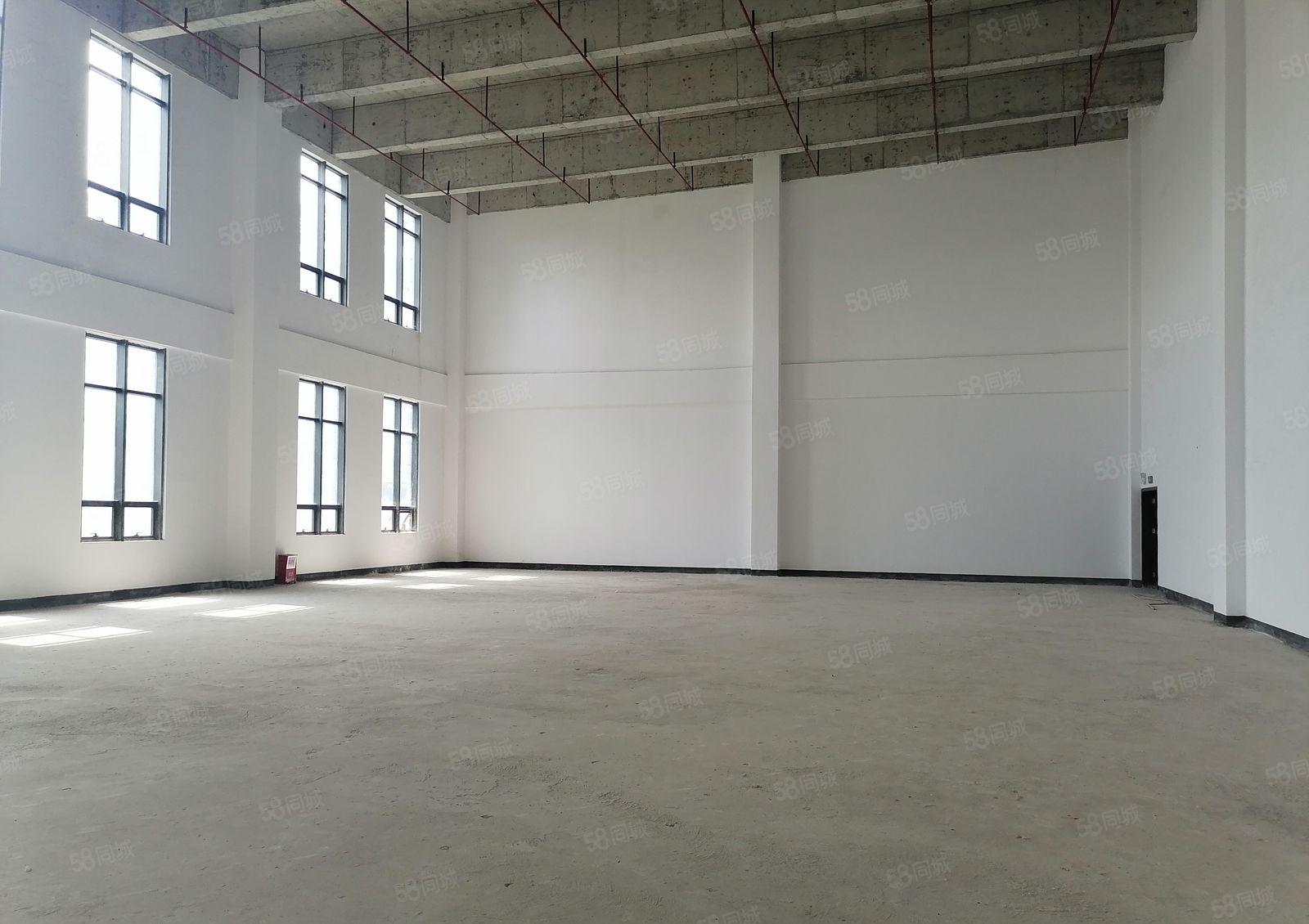 松山湖全新原房东红本欧式独栋研发楼招商，可申请国家补贴