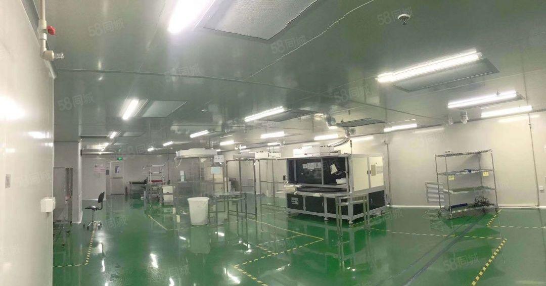 松山湖低价出租小面积带豪华装修1000平方起带多个停车位空地