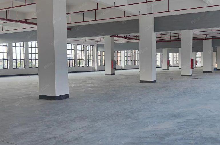 大岭山高速出口1000平全新红本厂房可办环评有喷淋好招工