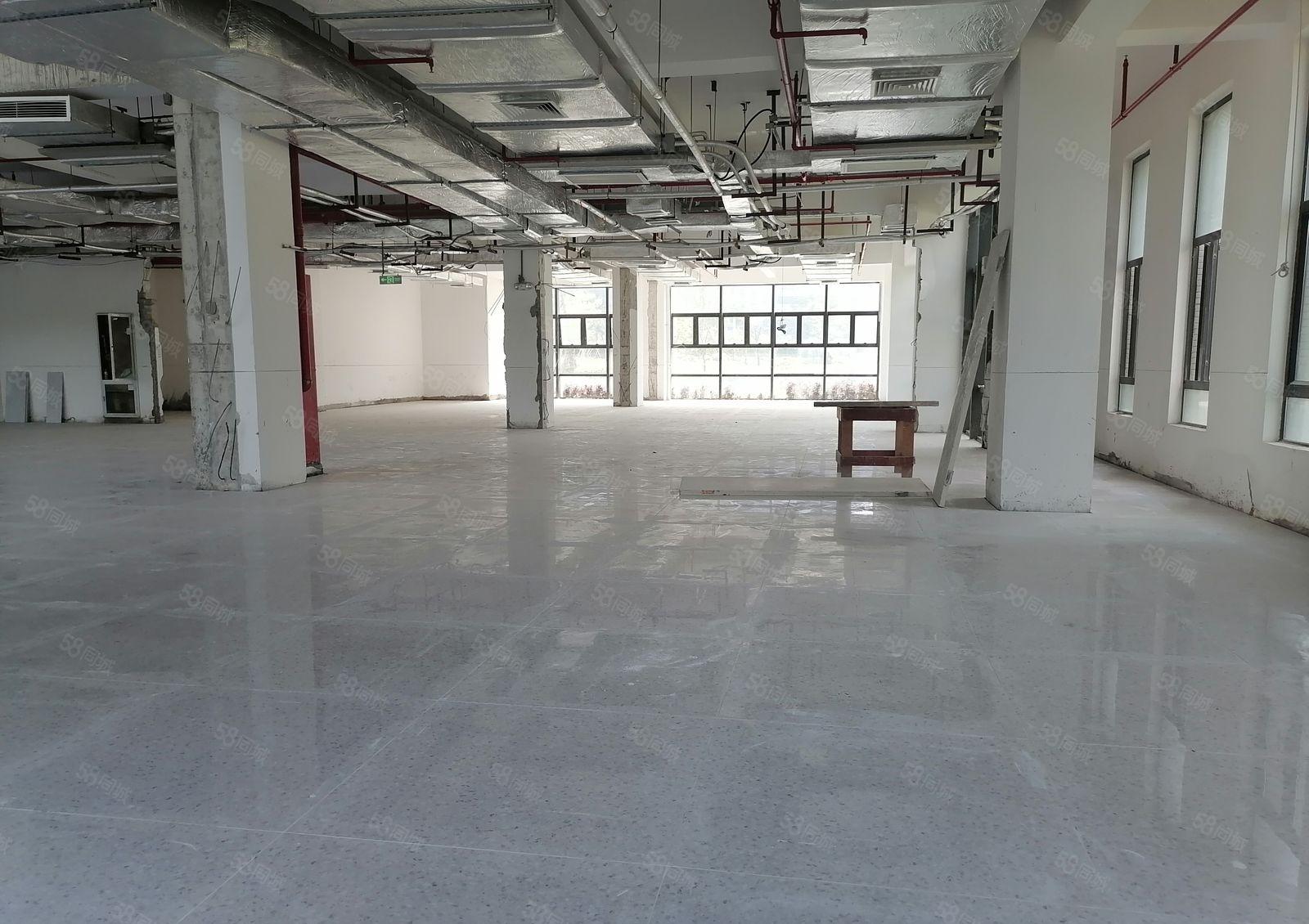 松山湖全新原房东红本综合楼招商，现成装修水电齐全，可申请补贴