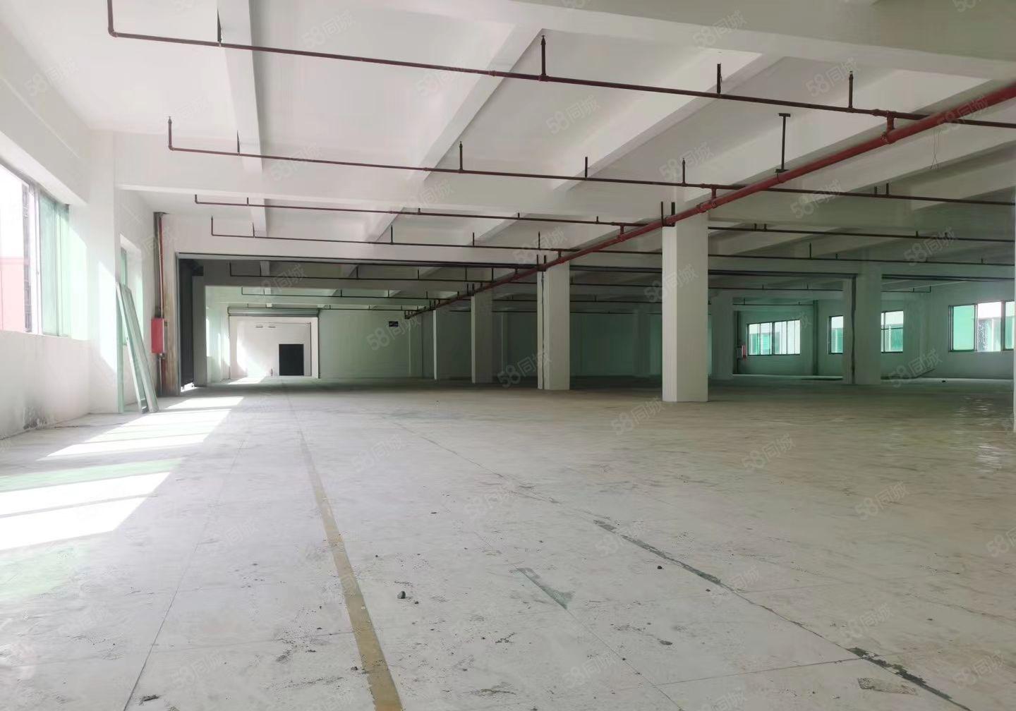 松山湖附近新出红本全新独院不限电